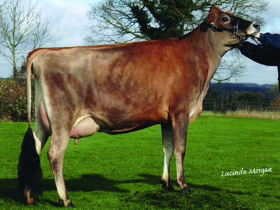 bluegrass hwm blondette